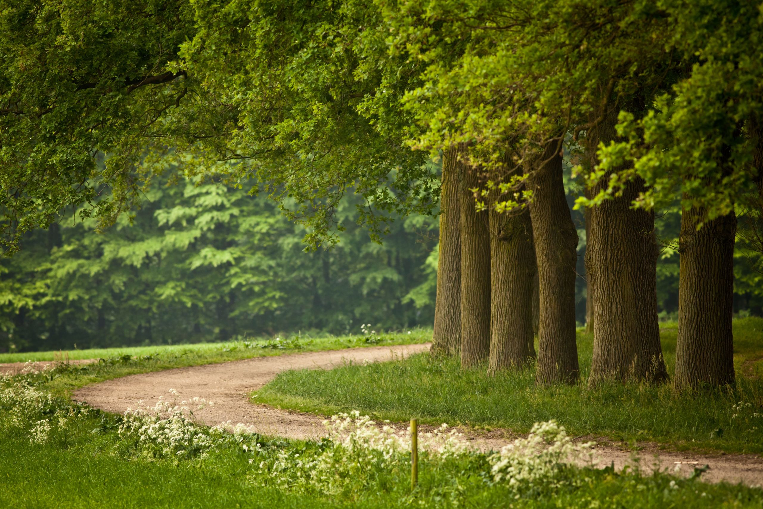 Prachtige natuur in de Achterhoek