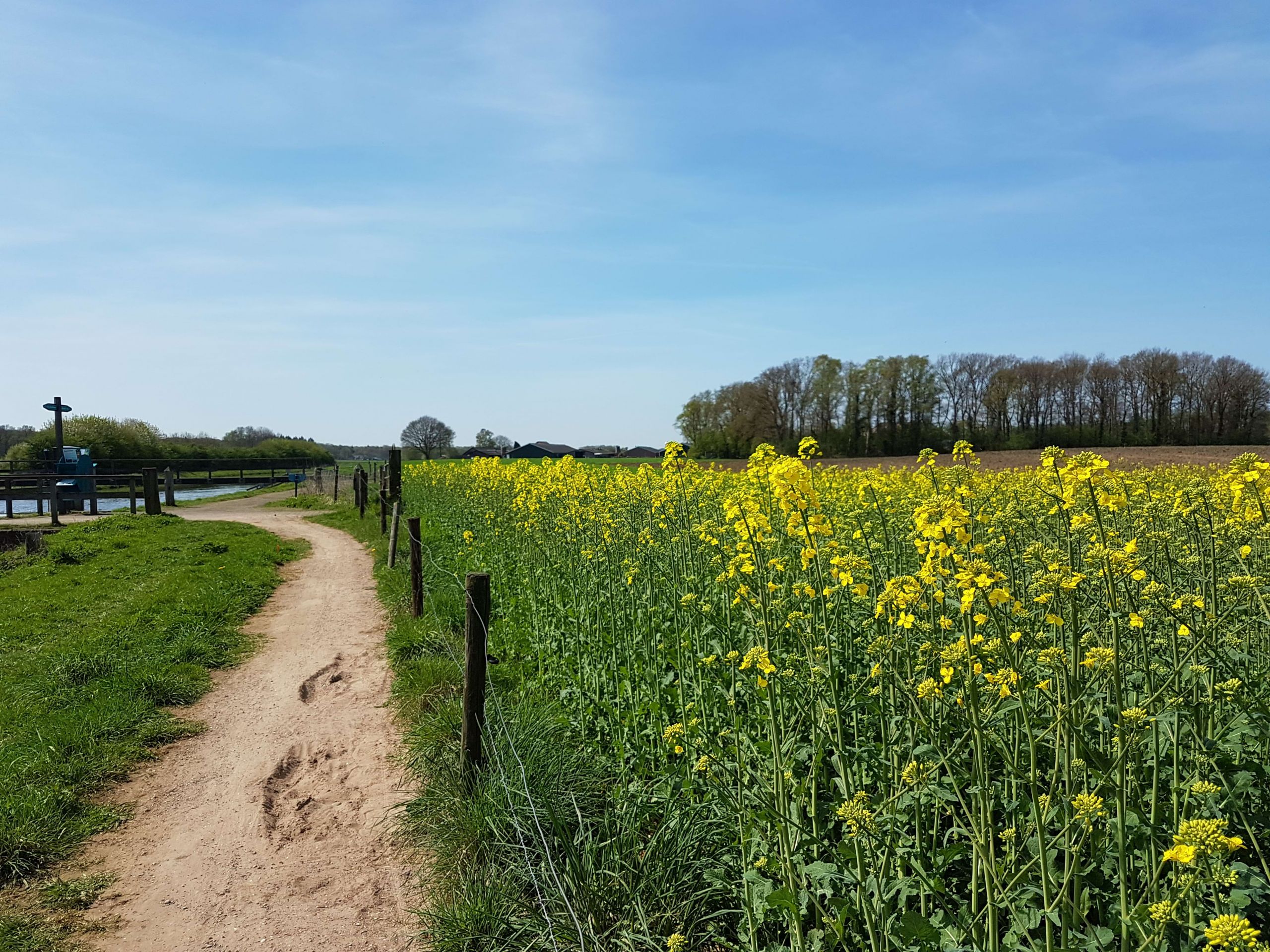 Wandelen door de Achterhoek vanaf Landgoed Ehzerwold